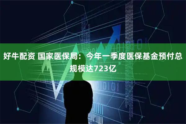 好牛配资 国家医保局：今年一季度医保基金预付总规模达723亿