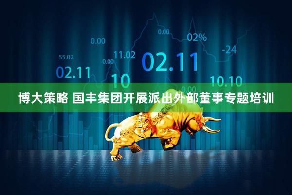 博大策略 国丰集团开展派出外部董事专题培训